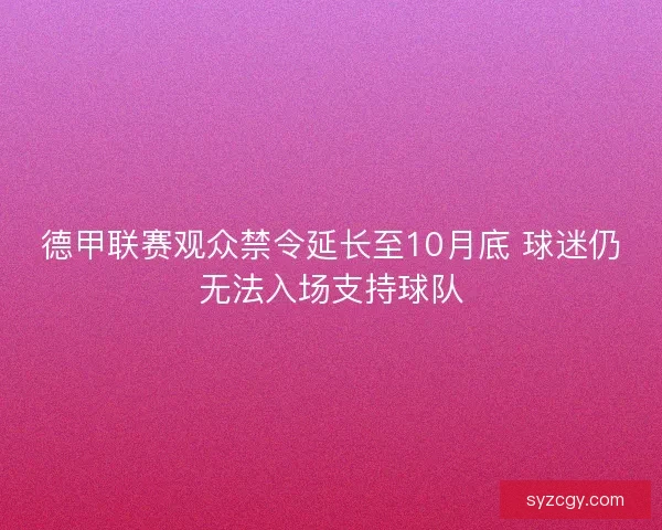 德甲联赛观众禁令延长至10月底 球迷仍无法入场支持球队